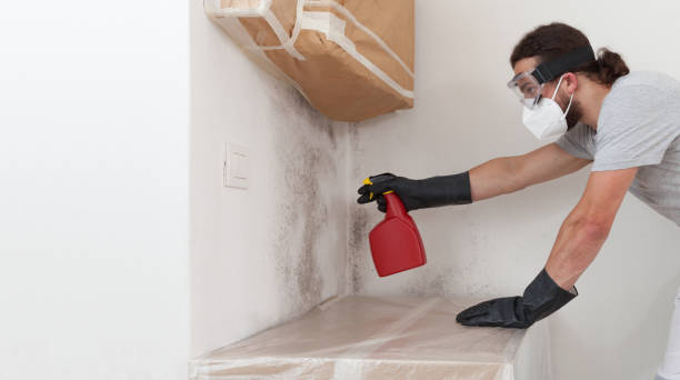 Professional Bathroom Mold Removal technician working in Woodstock, GA