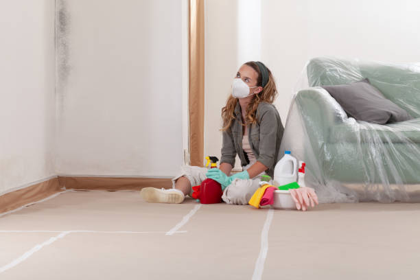 Reliable Bathroom Mold Removal contractor in Woodstock, GA by 24 Hour Mold Removal